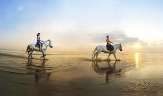 飞越的旅行者：超详攻略带你游遍世界各地，体验不一样的飞跃体验